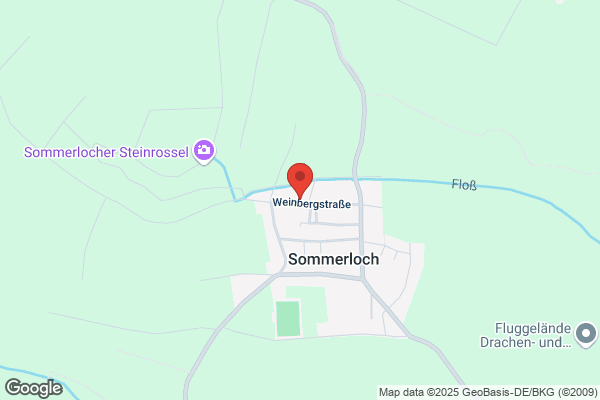 Sportverein Sommerloch 1921 e.V.