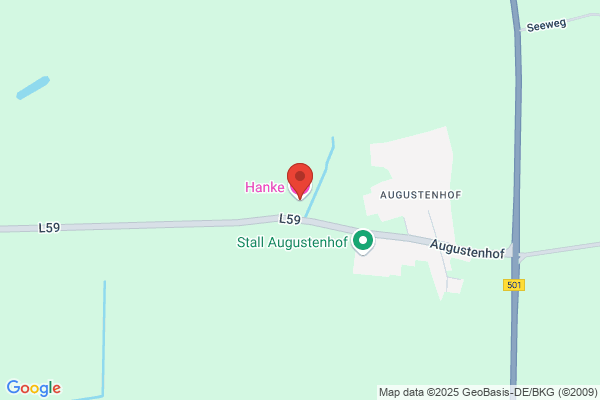 Hanke