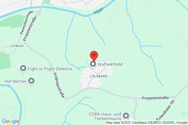 Irena Geisler