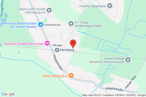 Jaqueline Charis Borgwardt