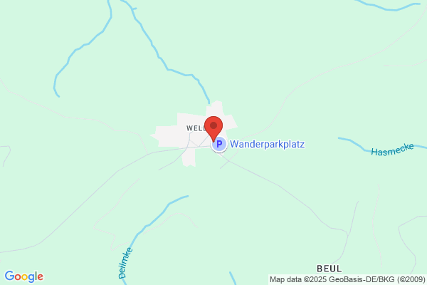 Waldhotel-Wellin