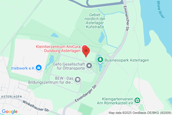 WM Consult GmbH
