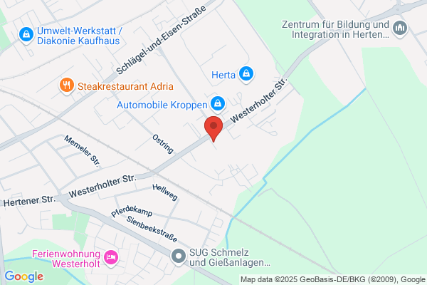 Druck H. Buschhausen GmbH