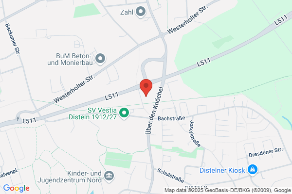 Schmidt Service GmbH & Co SHK KG