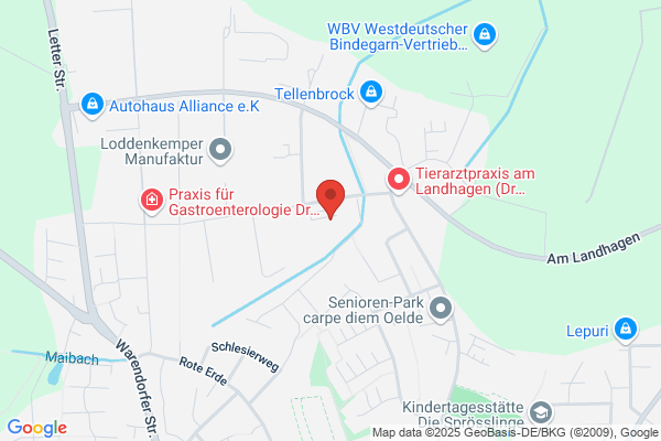 Druckwerk-Verlag Tholen + Wohlfromm GbR