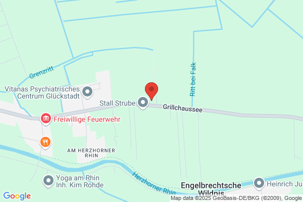 Gudrun Piening