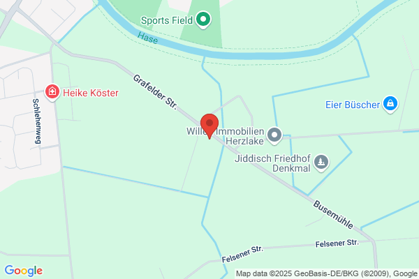 Dohle