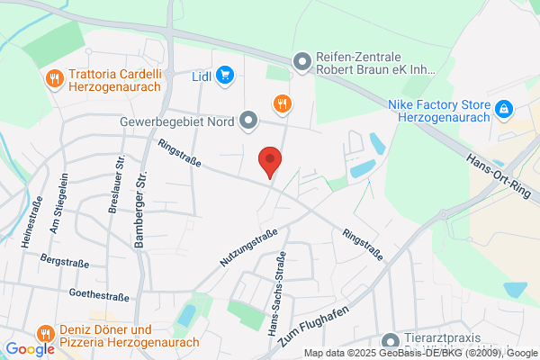 Mietwagen Service Rieger