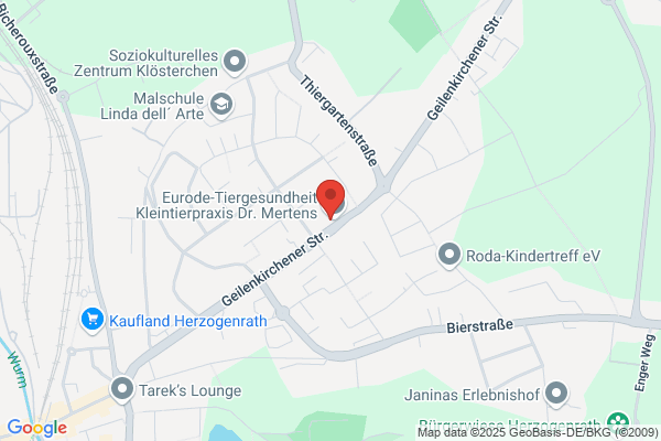 Physio für Vier Pfoten