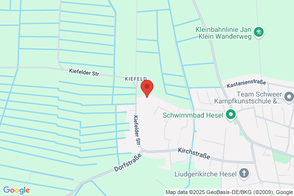 Seegers Nicole Fachbüro für betriebsw. Auswertung selbständige Buchhalterin
