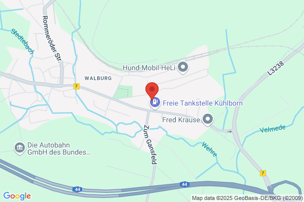Kollmann