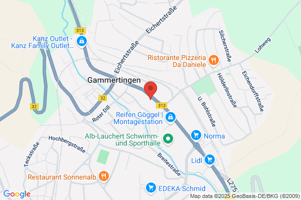 Laucherttalschule Gammertingen SBBZ Lernen