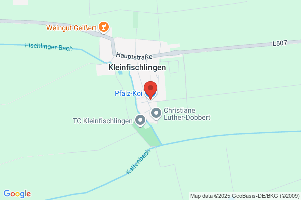 Südpfalz Koi