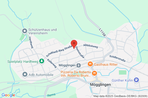 Bullinger GmbH