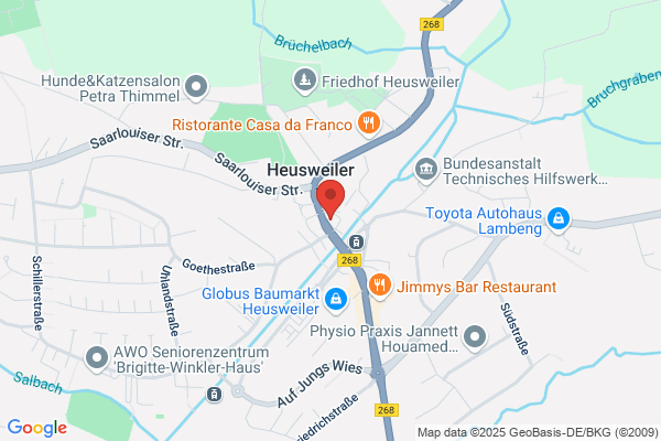 Löwenzahn Saarland
