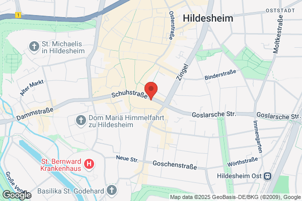 Fahrschule Manlig