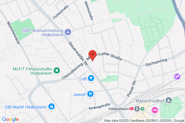 Netzfeld