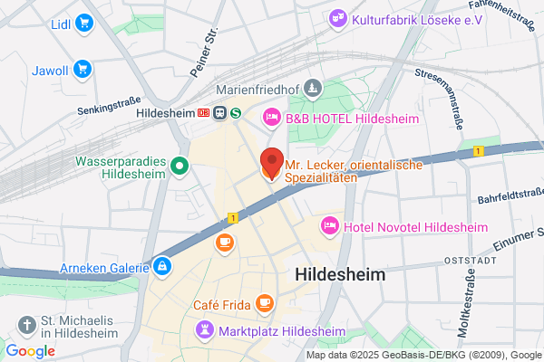V.I.B. e.V. Hildesheim