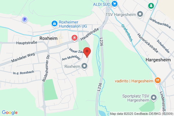 Bahndienste PS GmbH