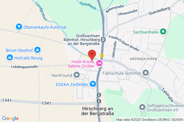 Doris Fachinger