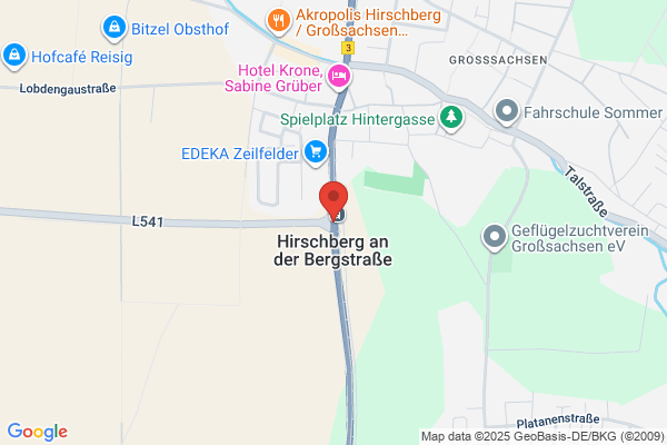 Rüdiger Andersch
