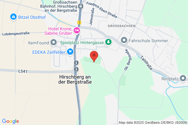 Friedhof Großsachsen