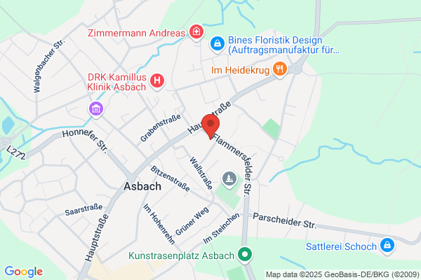 Autoschilder & Zulassungen Buffalo Asbach