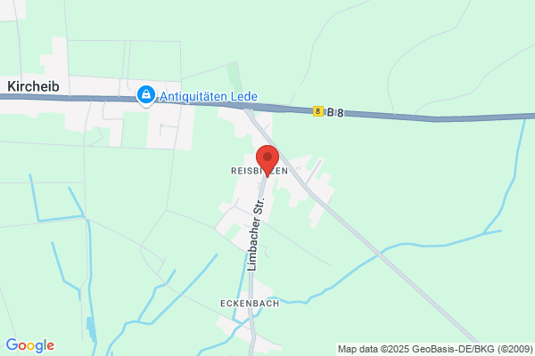 Dorothee Thaller