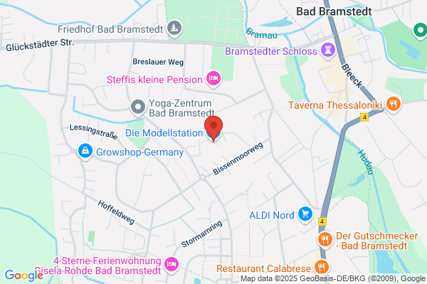 Modellsportgruppe Bad Bramstedt e.V.