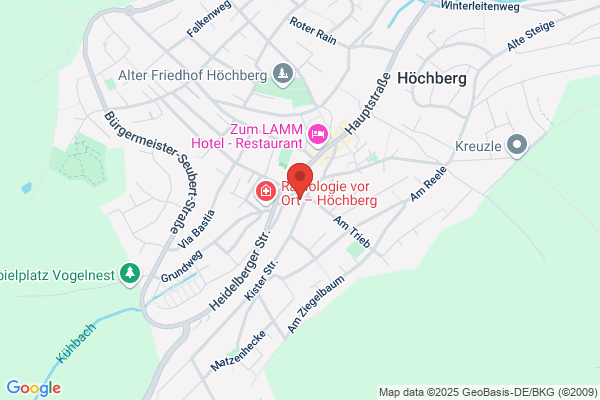 Goldener Adler
