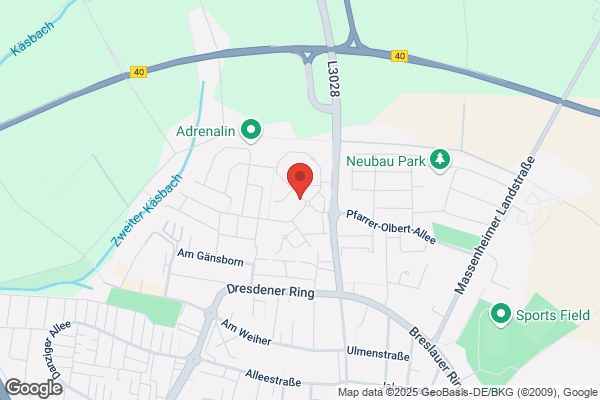 Friseure Kamm in Haarstudio