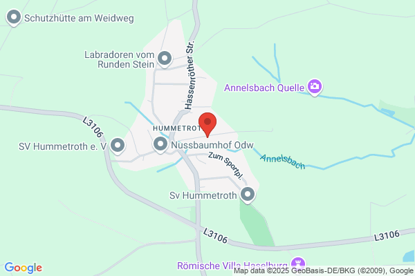 Odenwald Gasthof - Pension