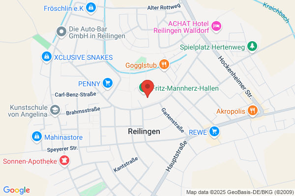 Sport-Schützen-Verein Reilingen
