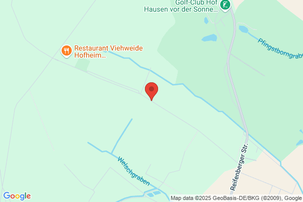 Viehweide