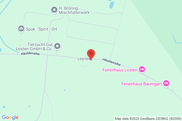 Ronald Dummer