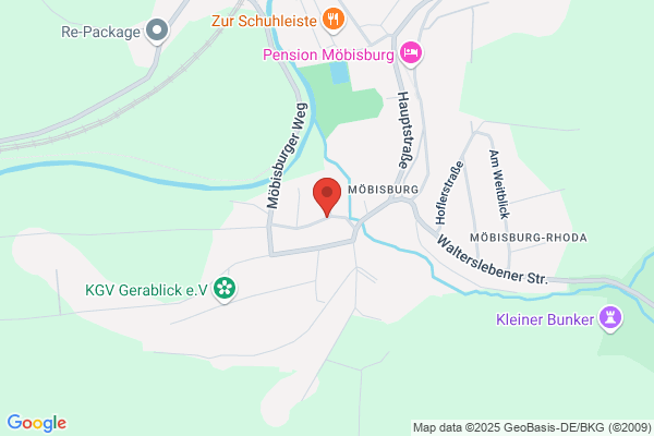 Hundeschule Hundehirn