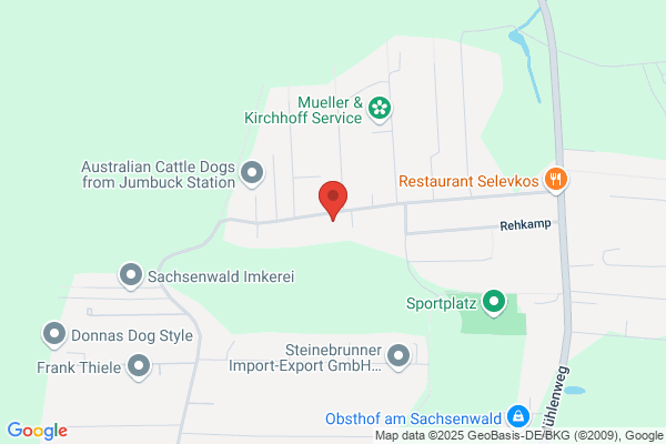 Möwe-Jarren Immobilien