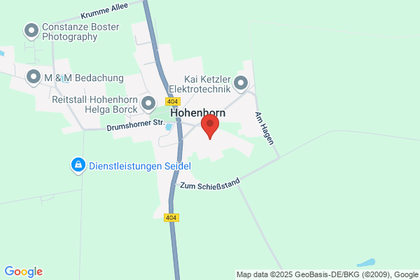 Heidelmann Foseco