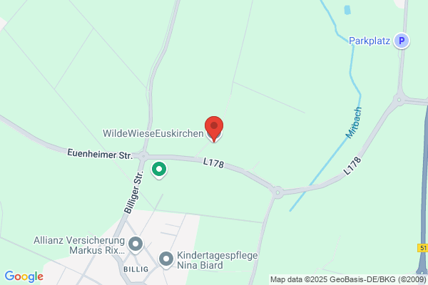Wilde Wiese