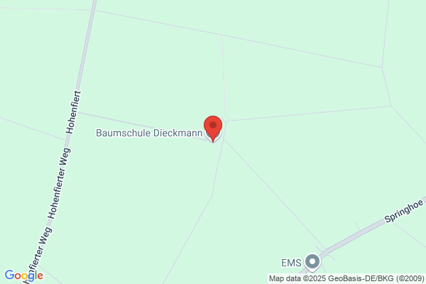 Dabow Garten und Landschaftsbau