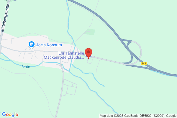 ELF Station