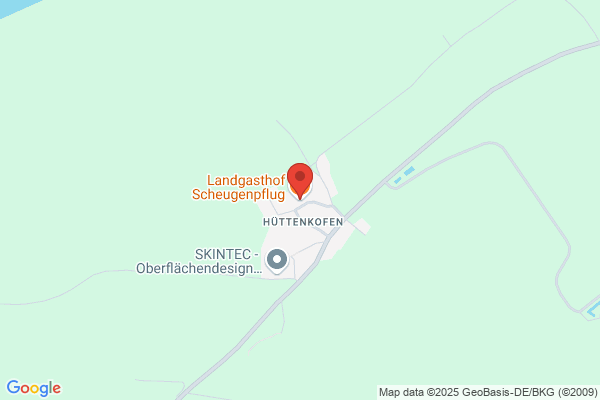 Horst Scheugenpflug