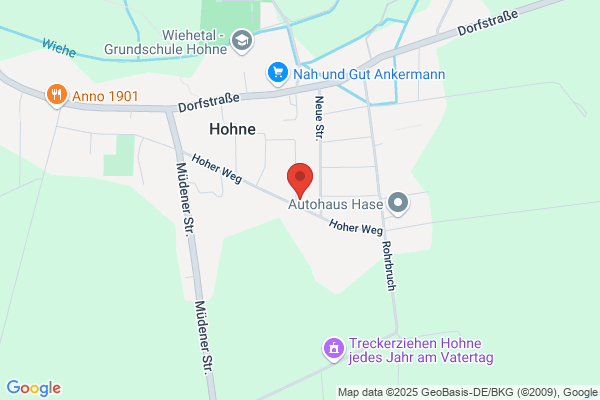 TierHeilpraktik Hoffmann Gabriele Hoffmann Tierheilpraktikerin für Hunde und Pferde seit 2010