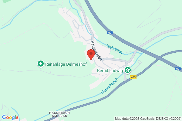 Manfred Schlemmer