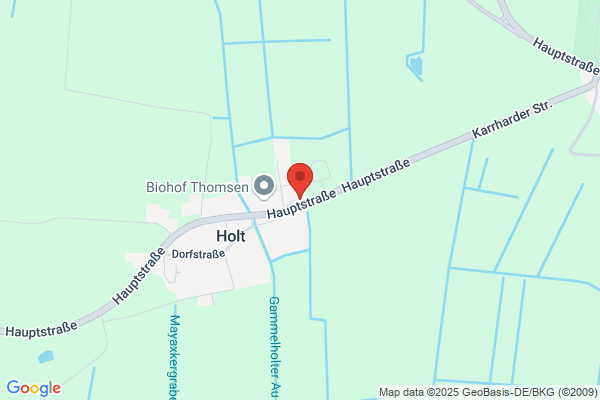 Bioenergie Holt GmbH & Co KG