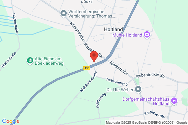 Intercar Holtland GmbH