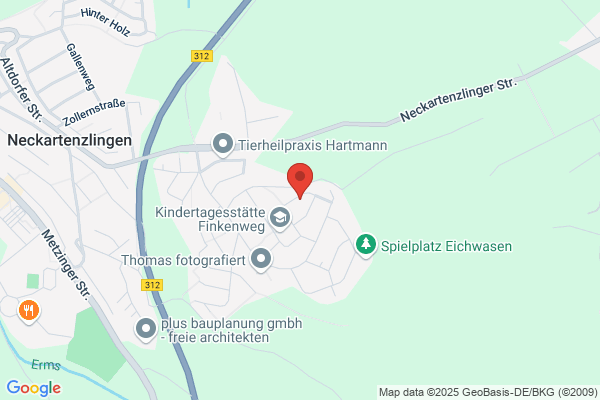 Merz
