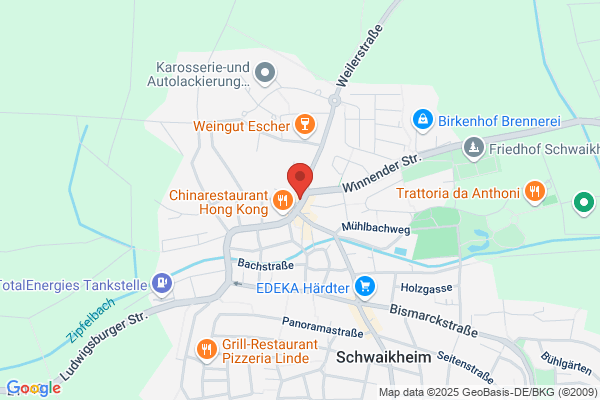 Pizza Perfekt