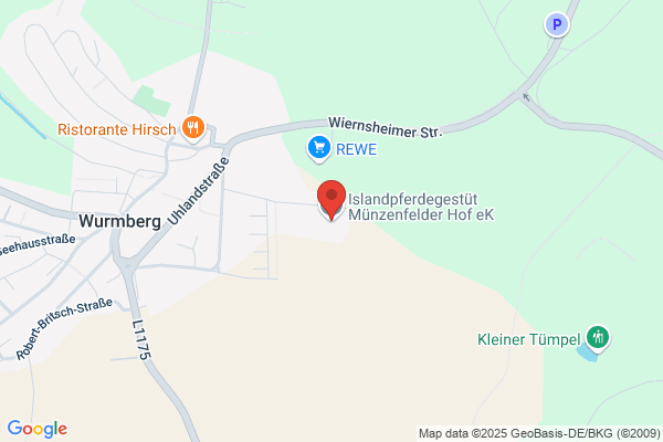 Staudenhof Islandpferdegestüt Miller Georg