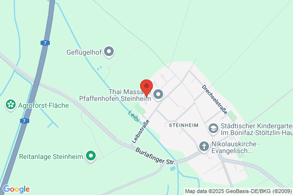 Niamo Hundetraining und mehr